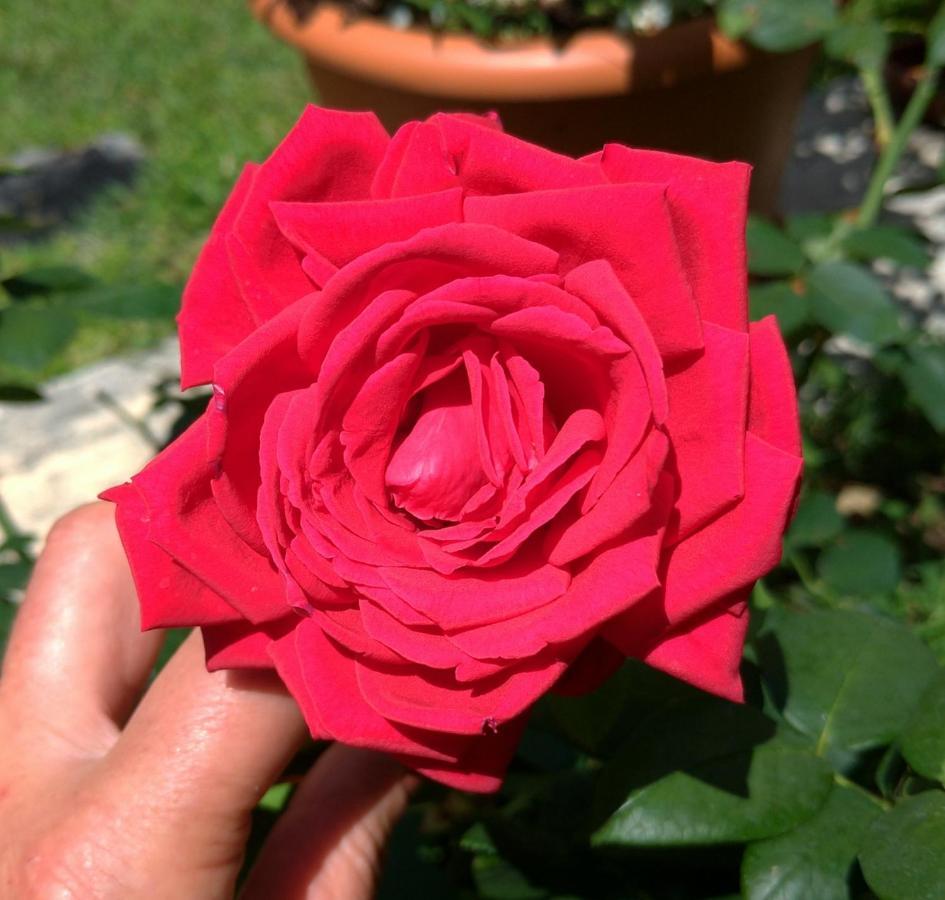 Gemma Di Gallura Charme B&B ออลเบีย ภายนอก รูปภาพ